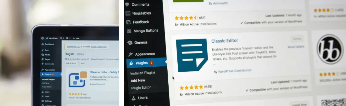 WordPress plugin development for custom website features